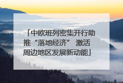 中欧班列密集开行助推“落地经济” 激活周边地区发展新动能