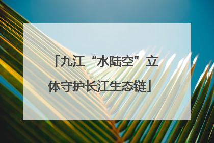 九江“水陆空”立体守护长江生态链