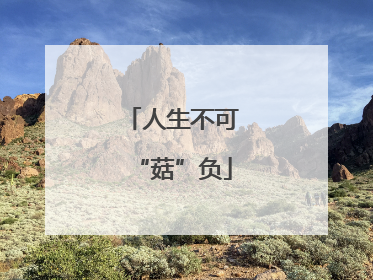 人生不可“菇”负