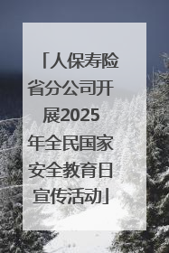 人保寿险省分公司开展2025年全民国家安全教育日宣传活动
