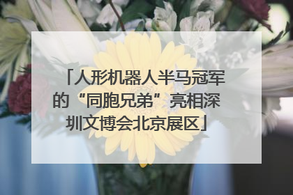 人形机器人半马冠军的“同胞兄弟”亮相深圳文博会北京展区