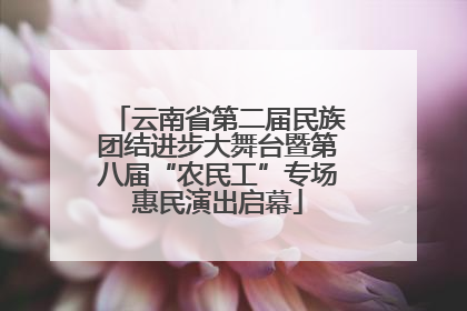 云南省第二届民族团结进步大舞台暨第八届“农民工”专场惠民演出启幕