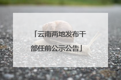 云南两地发布干部任前公示公告