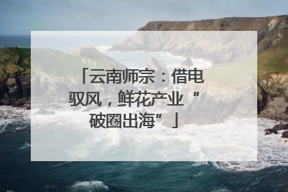 云南师宗：借电驭风，鲜花产业“破圈出海”