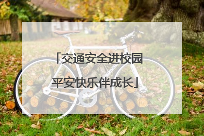 交通安全进校园 平安快乐伴成长