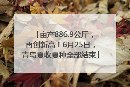 亩产886.9公斤，再创新高！6月25日，青岛夏收夏种全部结束
