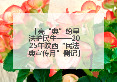 亮“典”纷呈 法护民生——2025年陕西“民法典宣传月”侧记