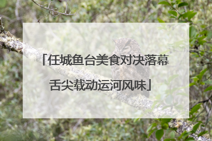 任城鱼台美食对决落幕 舌尖载动运河风味