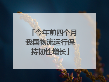 今年前四个月我国物流运行保持韧性增长