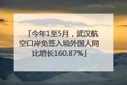 今年1至5月，武汉航空口岸免签入境外国人同比增长160.87%