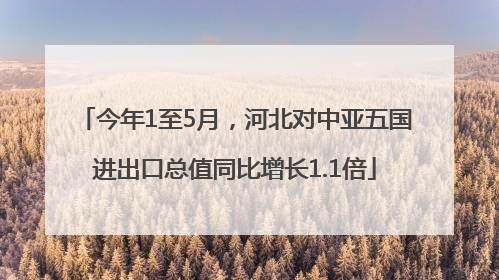 今年1至5月，河北对中亚五国进出口总值同比增长1.1倍