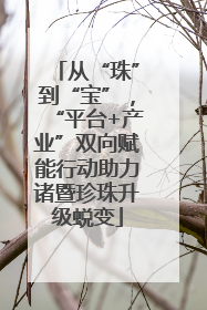 从“珠”到“宝”，“平台+产业”双向赋能行动助力诸暨珍珠升级蜕变