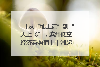 从“地上造”到“天上飞”，滨州低空经济乘势而上｜潮起渤海・网聚黄蓝