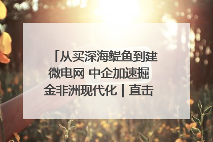 从买深海鳀鱼到建微电网 中企加速掘金非洲现代化｜直击中非经贸博览会