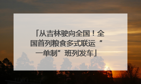 从吉林驶向全国！全国首列粮食多式联运“一单制”班列发车