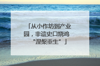 从小作坊到产业园，非遗史口烧鸡“涅槃重生”