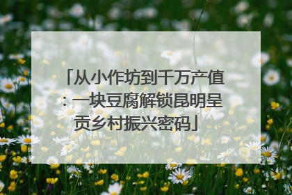 从小作坊到千万产值：一块豆腐解锁昆明呈贡乡村振兴密码