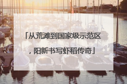 从荒滩到国家级示范区，阳新书写虾稻传奇