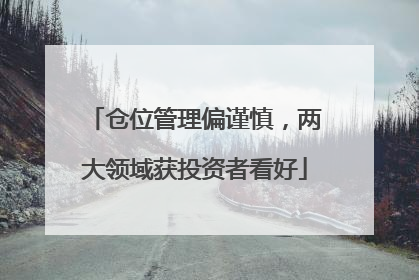 仓位管理偏谨慎，两大领域获投资者看好