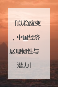 以稳应变，中国经济展现韧性与潜力