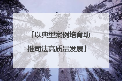 以典型案例培育助推司法高质量发展
