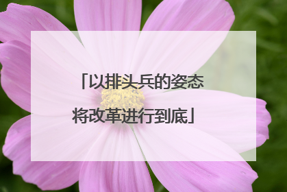 以排头兵的姿态将改革进行到底