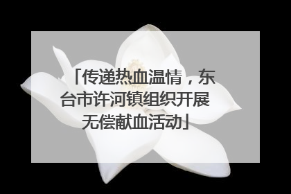传递热血温情，东台市许河镇组织开展无偿献血活动