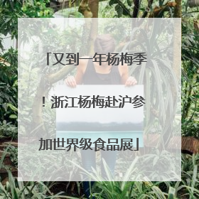 又到一年杨梅季！浙江杨梅赴沪参加世界级食品展