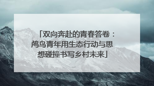 双向奔赴的青春答卷：鸬鸟青年用生态行动与思想碰撞书写乡村未来