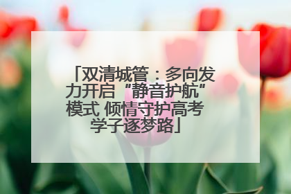 双清城管：多向发力开启“静音护航”模式 倾情守护高考学子逐梦路