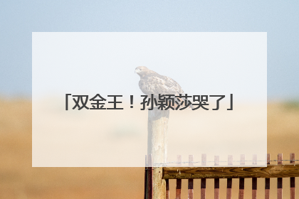 双金王！孙颖莎哭了