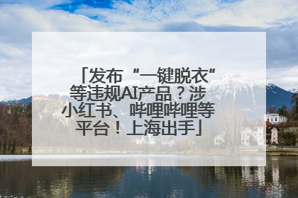 发布“一键脱衣”等违规AI产品？涉小红书、哔哩哔哩等平台！上海出手