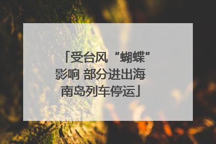 受台风“蝴蝶”影响 部分进出海南岛列车停运