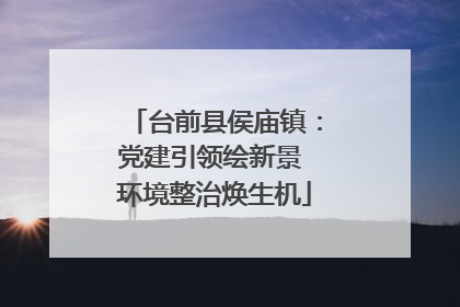 台前县侯庙镇：党建引领绘新景 环境整治焕生机