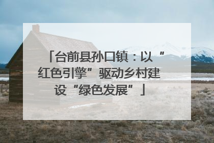 台前县孙口镇：以“红色引擎”驱动乡村建设“绿色发展”