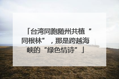 台湾同胞随州共植“同根林”，那是跨越海峡的“绿色情诗”
