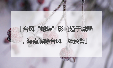 台风“蝴蝶”影响趋于减弱，海南解除台风三级预警