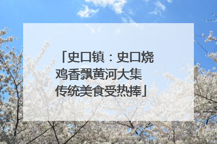 史口镇：史口烧鸡香飘黄河大集 传统美食受热捧
