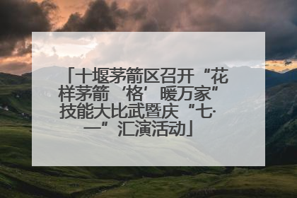 十堰茅箭区召开“花样茅箭‘格’暖万家”技能大比武暨庆“七·一”汇演活动