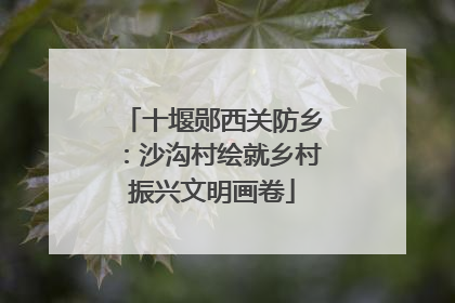 十堰郧西关防乡：沙沟村绘就乡村振兴文明画卷