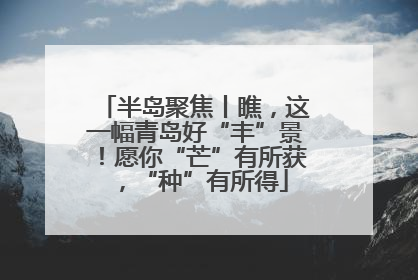 半岛聚焦丨瞧，这一幅青岛好“丰”景！愿你“芒”有所获，“种”有所得