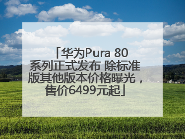华为Pura 80系列正式发布 除标准版其他版本价格曝光，售价6499元起