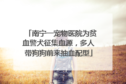 南宁一宠物医院为贫血警犬征集血源，多人带狗狗前来抽血配型