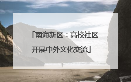 南海新区：高校社区开展中外文化交流