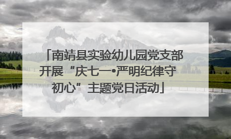 南靖县实验幼儿园党支部开展“庆七一•严明纪律守初心”主题党日活动