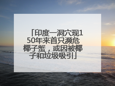 印度一洞穴现150年来首只濒危椰子蟹，或因被椰子和垃圾吸引