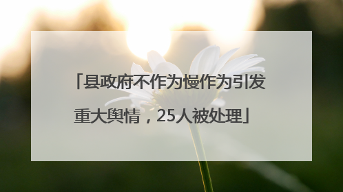 县政府不作为慢作为引发重大舆情，25人被处理
