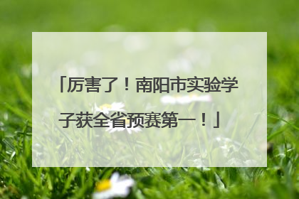 厉害了！南阳市实验学子获全省预赛第一！