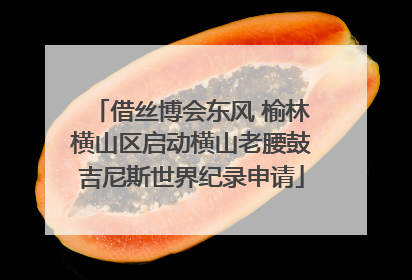 借丝博会东风 榆林横山区启动横山老腰鼓吉尼斯世界纪录申请