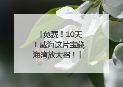 免费！10天！威海这片宝藏海湾放大招！